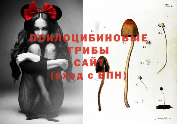 каннабис Осинники