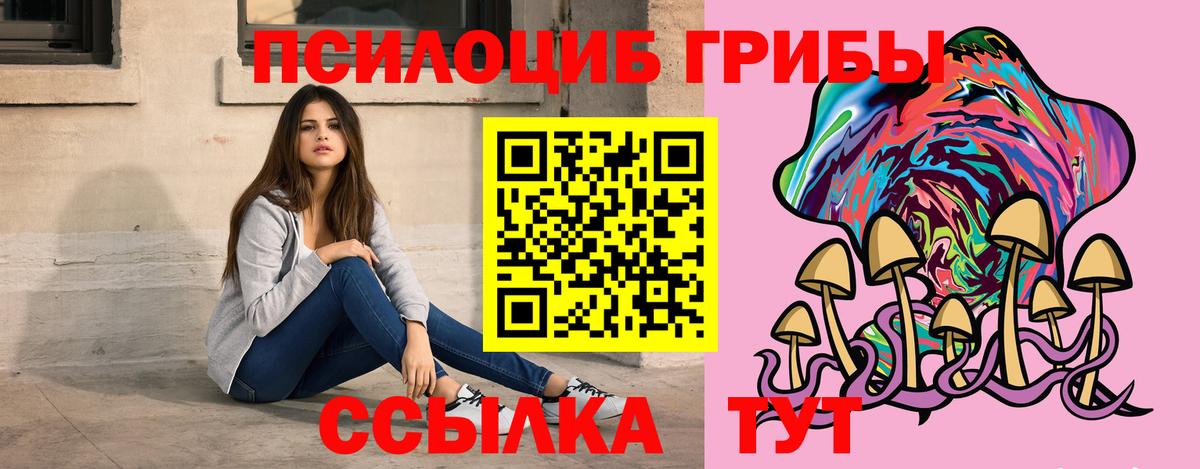Ртищево  Галлюциногенные грибы ЛСД  Псилоцибиновые грибы ЛСД  Вход с VPN 